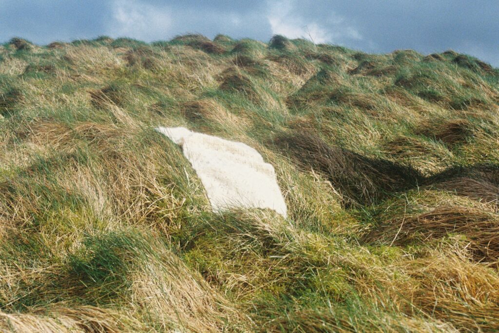 On the smallest wall, to the left of this print, is another lithograph. This one is far, far smaller in comparison and depicts the whole lace piece lying amongst some grassy tussocks. The white of the lace piece glows and floats.